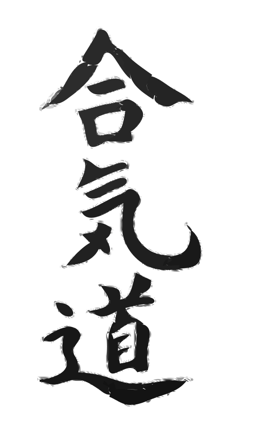 aikido_1 1
